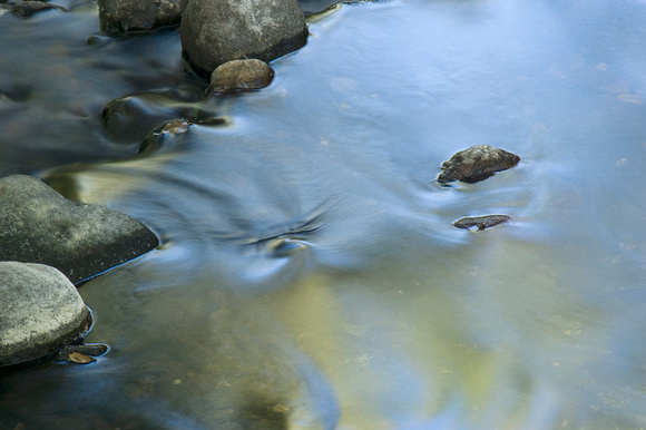 Creek, Sonoma, CA.